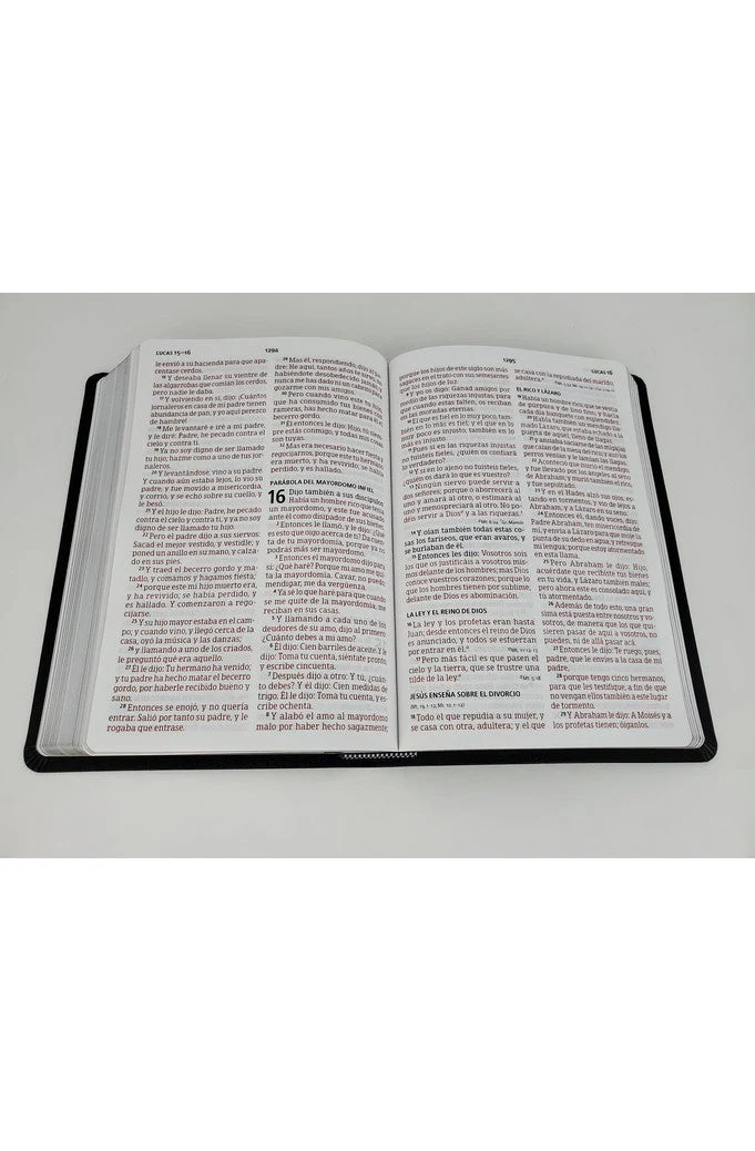 Biblia RVR 1960 Letra Grande Tamaño Manual Negro