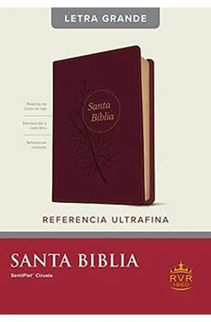 Biblia RVR 1960 Referencia Ultrafina Letra Grande Palabras de Jesús en Rojo Símil Piel Ciruela Índice