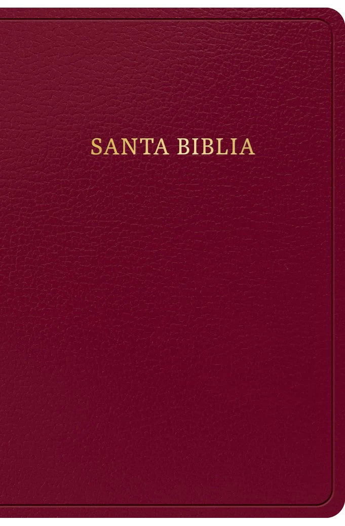 Biblia RVR 1960 Letra Grande Tamaño Manual Borgoña Símil Piel