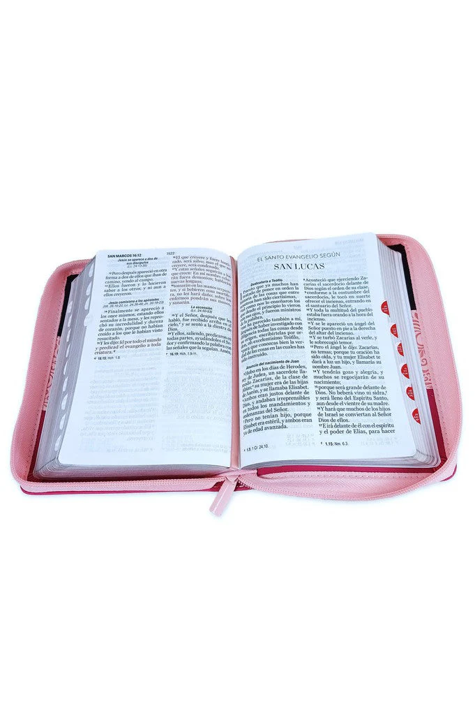 Biblia RVR 1960 Letra Grande Compacta 11 Puntos Tricolor Negro Rosa Fucsia Símil Piel con Índice y Cierre