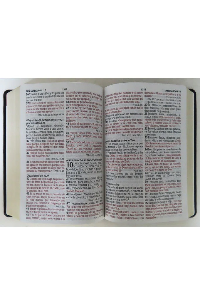 Biblia RVR 1960 Letra Grande Tamaño Manual Maxiconcordancia Negro Piel