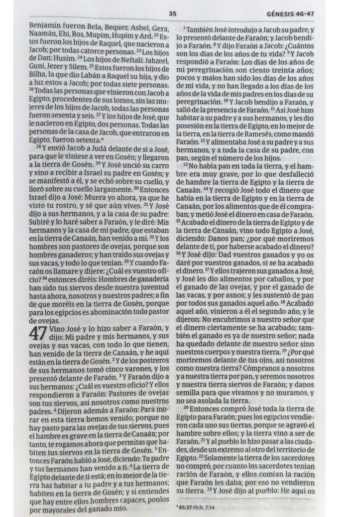 Biblia RVR 1960 del Ministro Negro Piel Fabricada