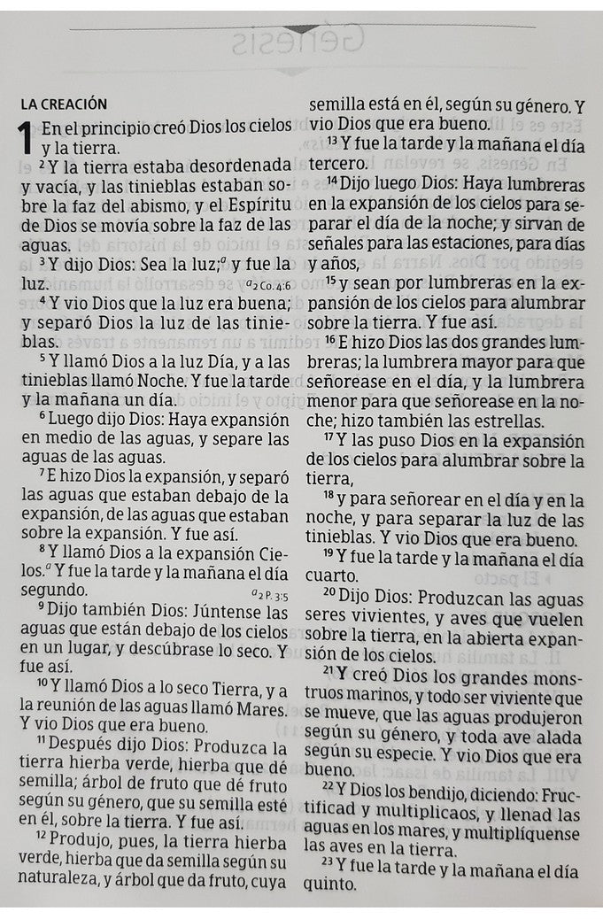 Biblia RVR 1960 Letra Grande Tamaño Manual Negro