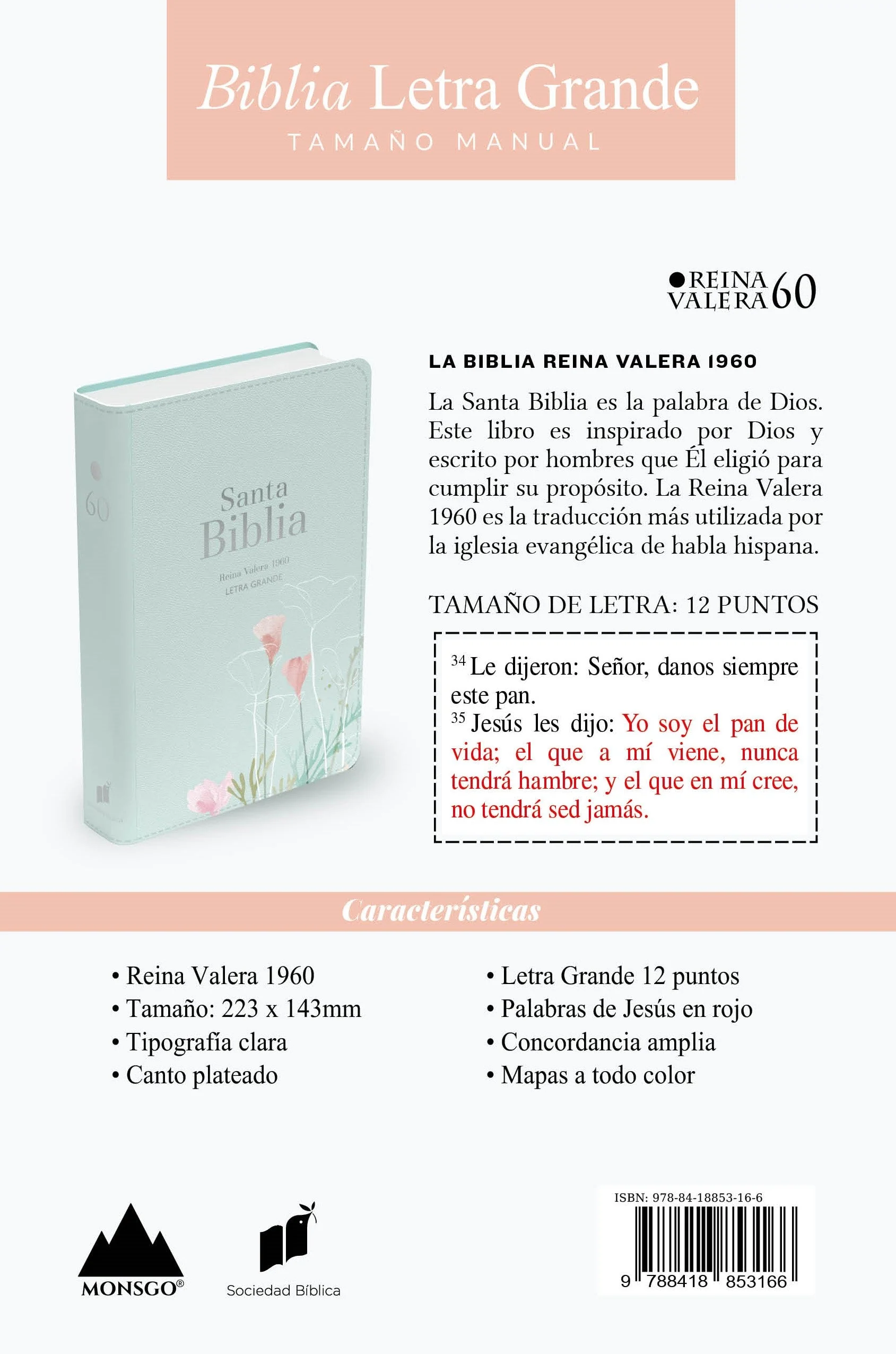 Biblia RVR 1960 Letra Grande Tamaño Manual Símil Piel Menta Fresca