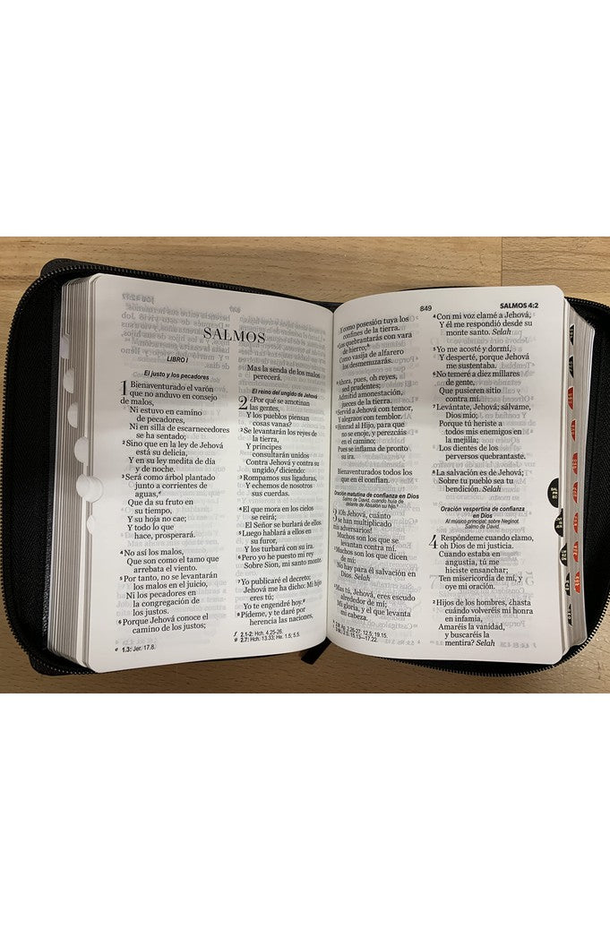 Biblia RVR 1960 Letra Grande Tamaño Manual Espada Negro Gris Símil Piel