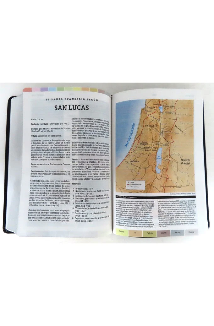 Biblia RVR 1960 de Estudio Arco Iris Negro Símil Piel