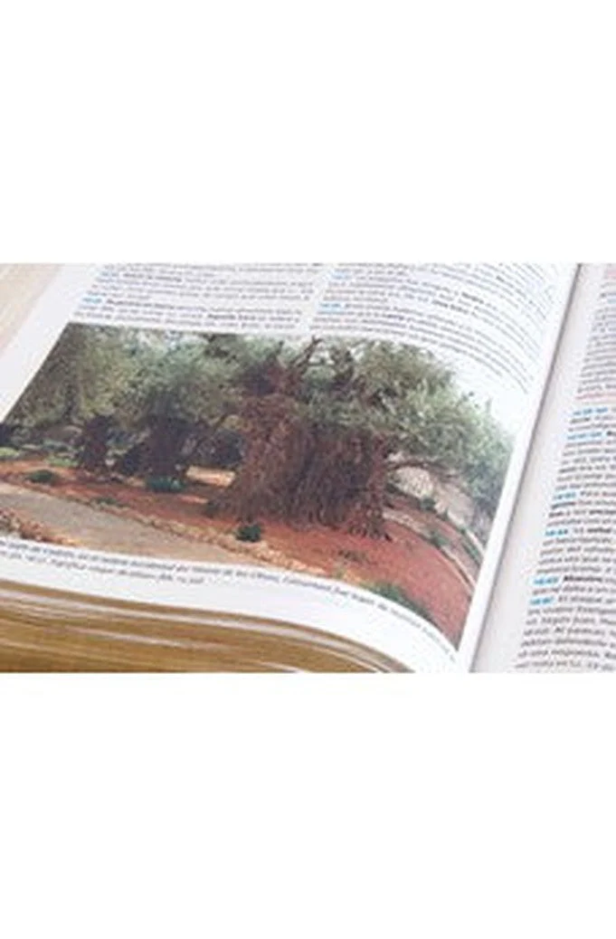 Biblia RVR 1960 de Estudio Holman Tapa Dura