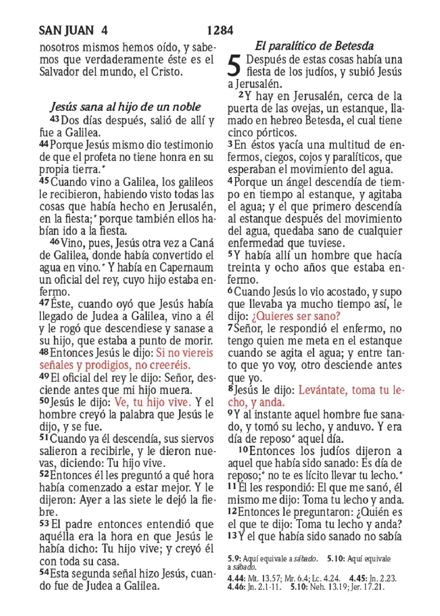 Biblia RVR 1960 Compacta para Niños Animales Vinilo con Cierre