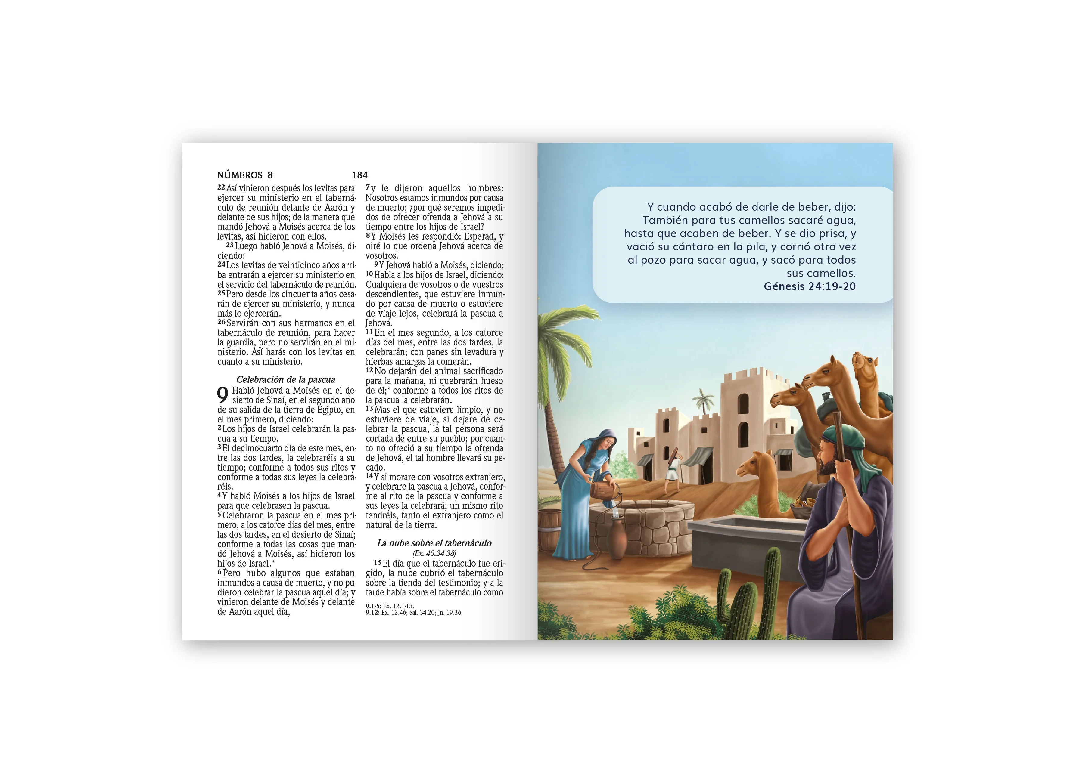 Biblia RVR 1960 Bolsillo para Niñas Princesa Vinilo con Cierre