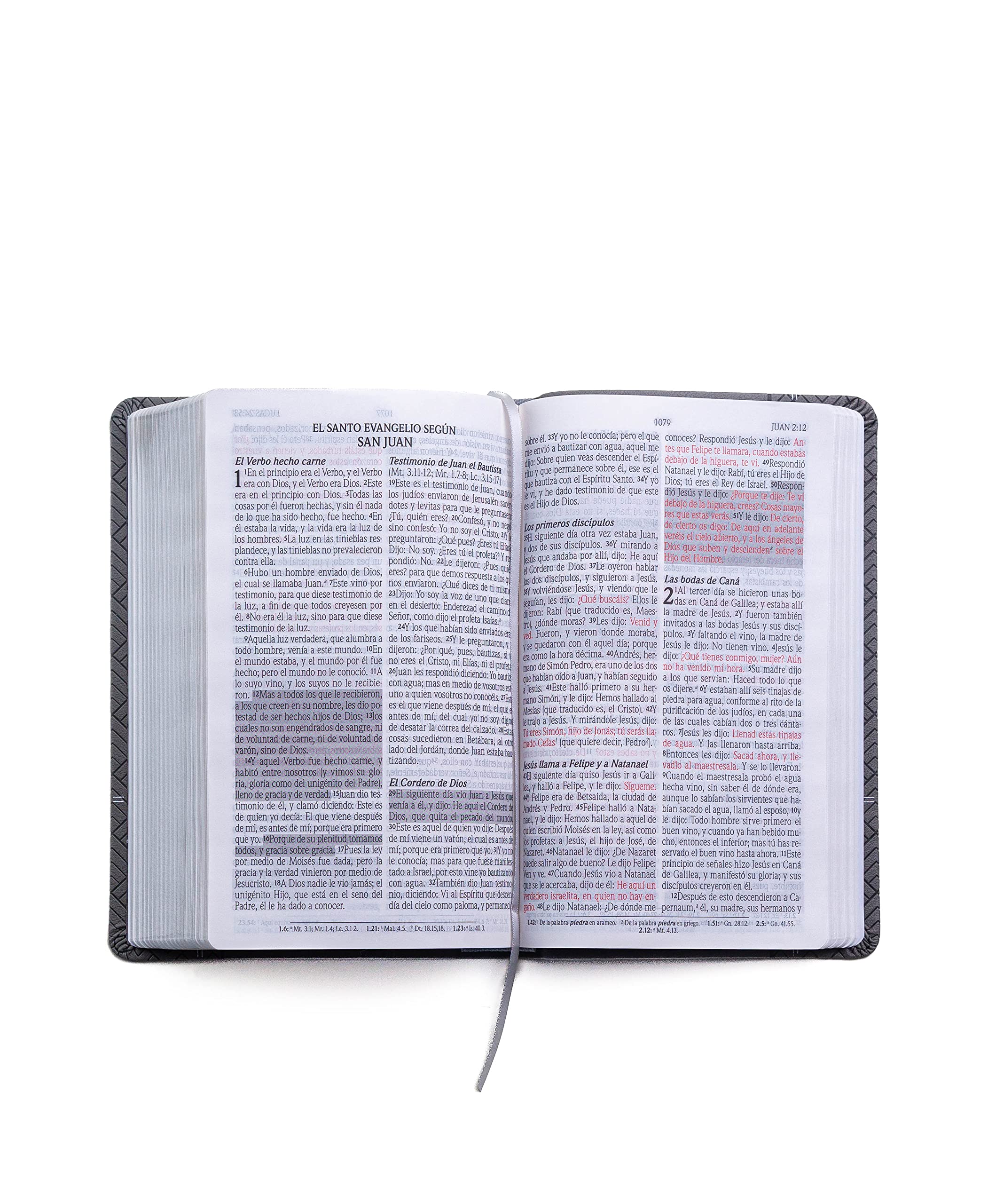 Biblia RVR 1960 Letra Grande Tamaño Manual Gris Símil Piel