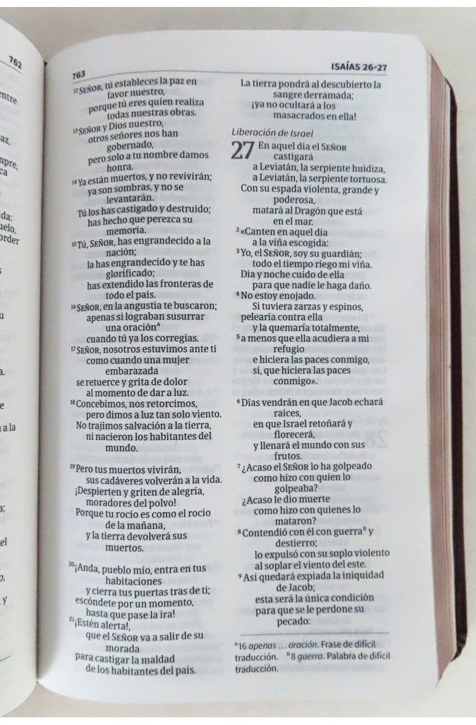 Biblia NVI Compacta Letra Grande Marrón Piel Fabricada