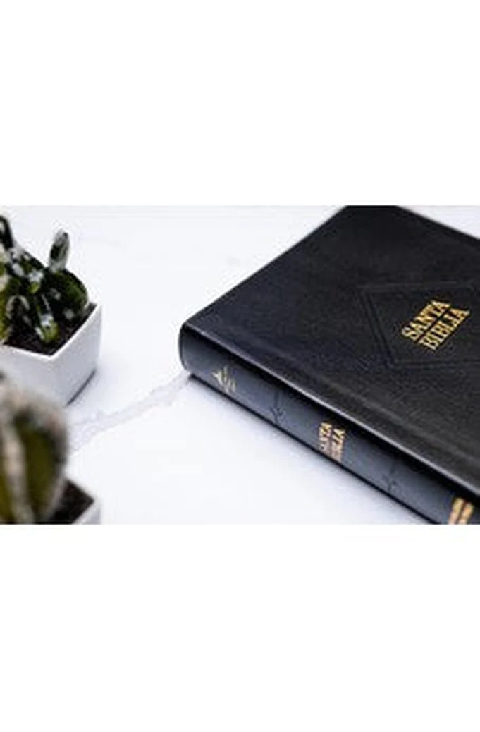 Biblia RVR 1960 Súper Gigante Negro Piel