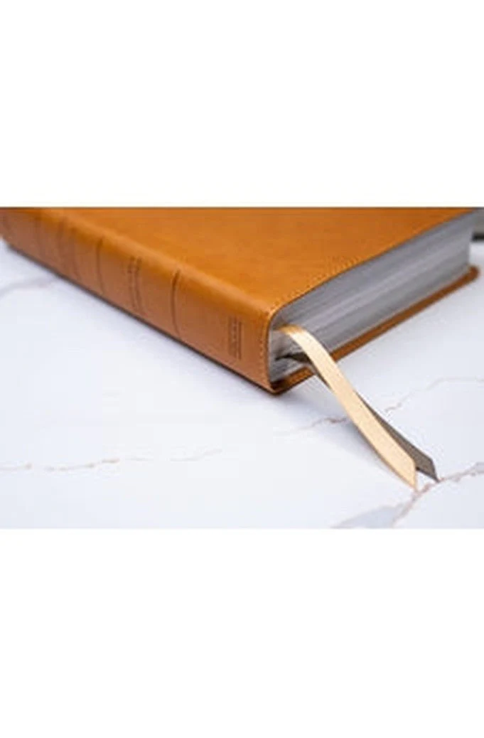 Biblia RVR 1960 Ilustrada de la Tierra Santa Marrón Símil Piel con Índice