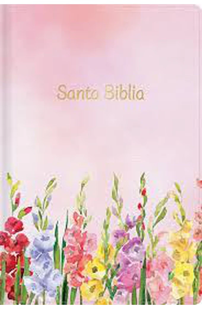 Biblia RVR 1960 Letra Grande Tamaño Manual Fucsia Símil Piel