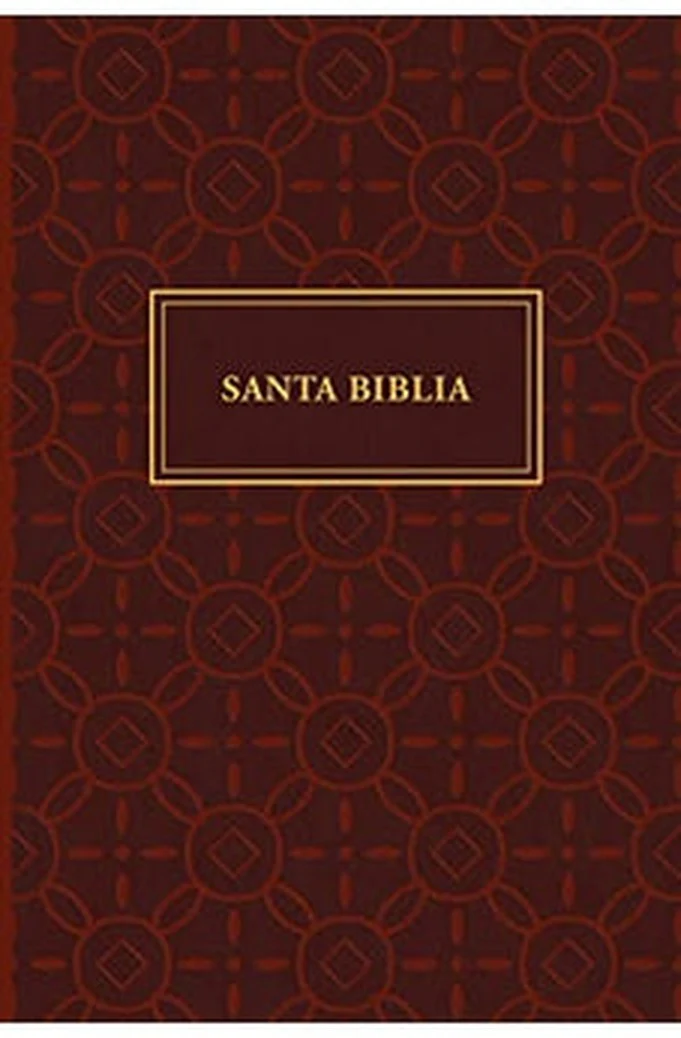 Biblia RVR 1960 Letra Gigante Símil Piel Neutral