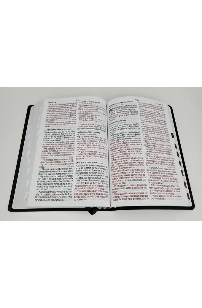 Biblia RVR 1960 Letra Gigante Piel Fabricada Negro con Índice