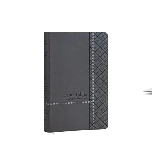 Biblia RVR 1960 Letra Grande Tamaño Manual Gris Símil Piel