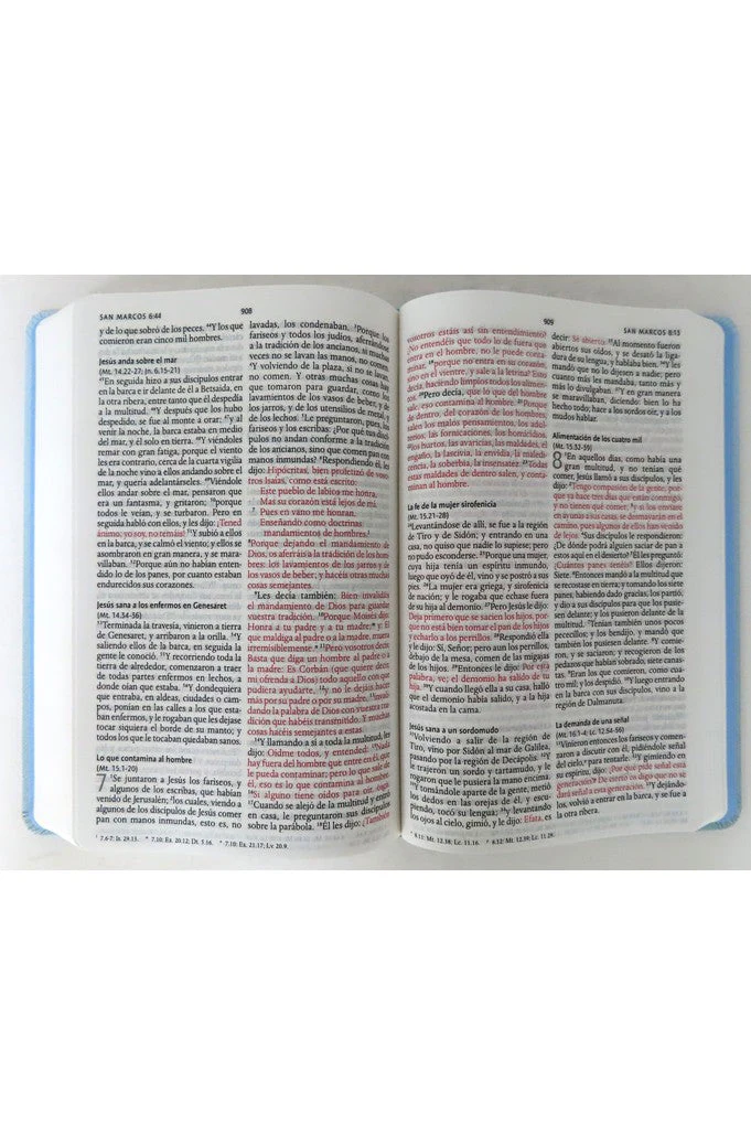 Biblia RVR 1960 Letra Grande Tamaño Manual Flores Azules Tapa Dura