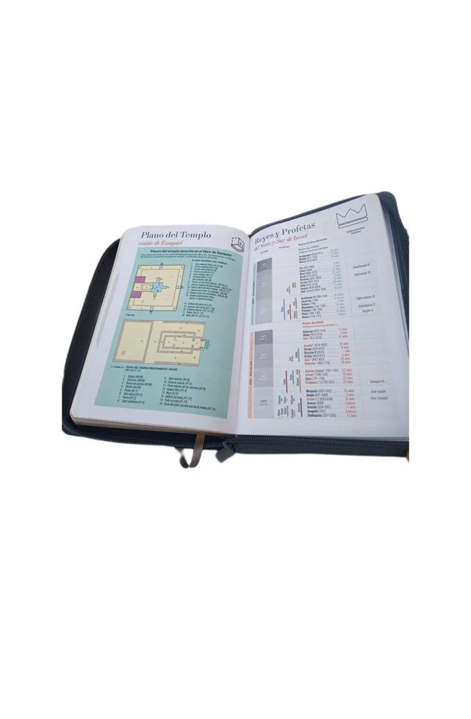 Biblia RVR 1960 Letra Grande Tamaño Manual Leon Gris Símil Piel