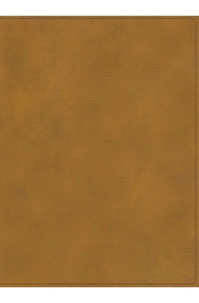 Biblia RVR 1960 Ilustrada de la Tierra Santa Marrón Símil Piel con Índice