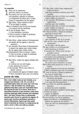 Biblia NVI de Estudio de la Vida Diaria Piel Negro