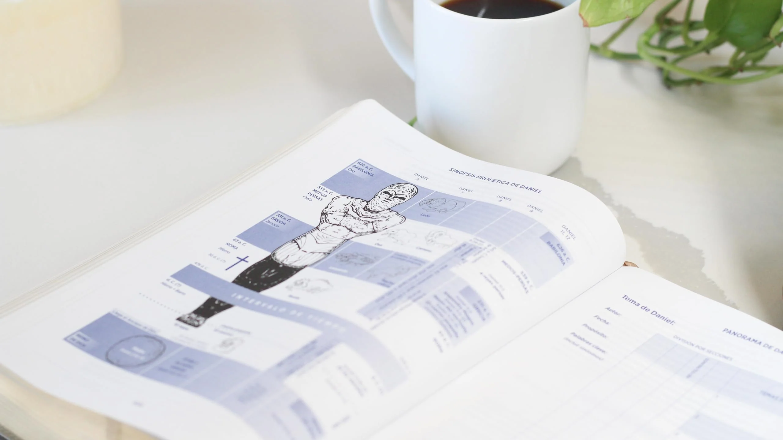 Biblia  NBLA para el Estudio Inductivo Interior a dos colores Piel Gris Comfort Print