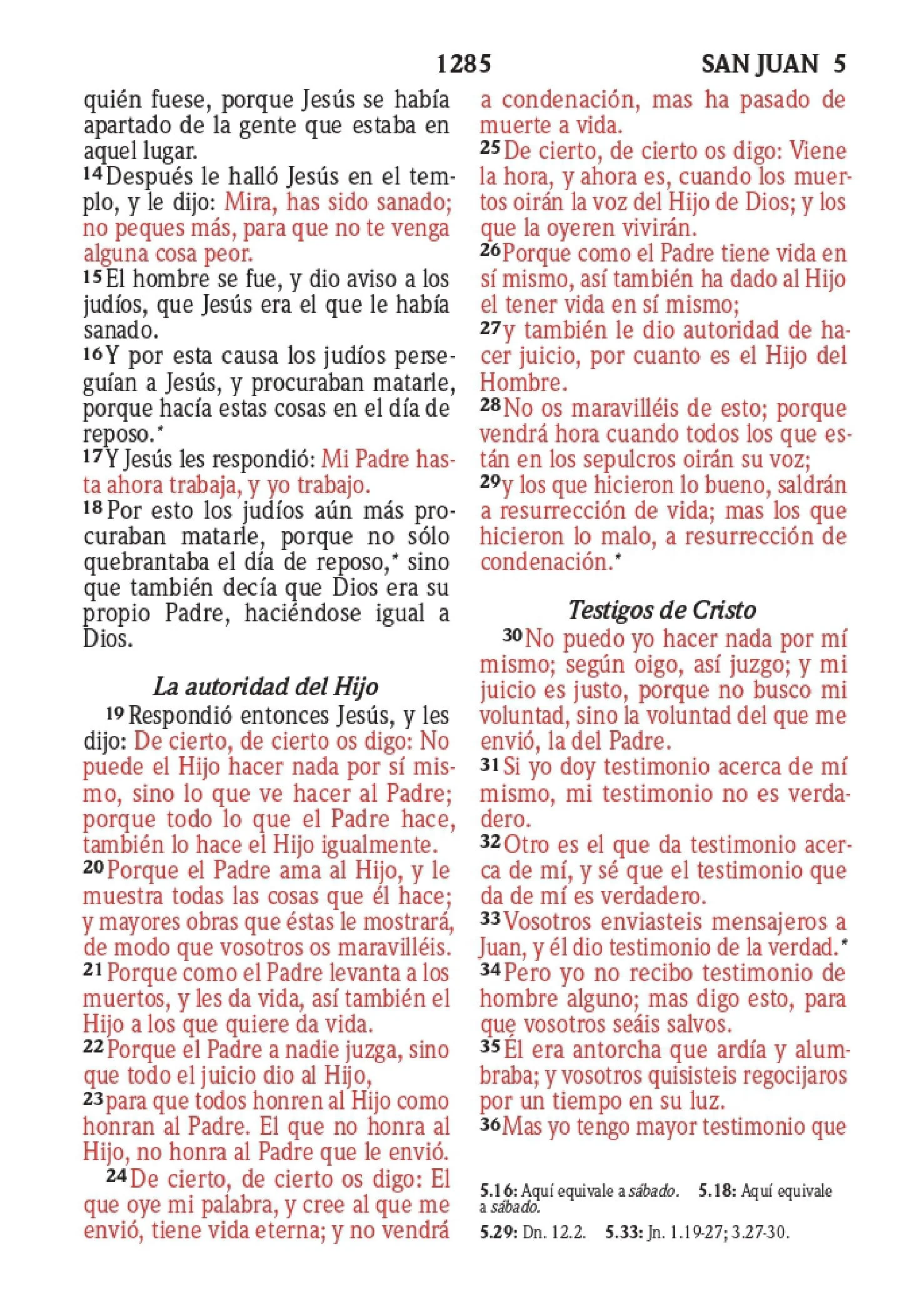 Biblia RVR 1960 Compacta para Niños Animales Vinilo con Cierre