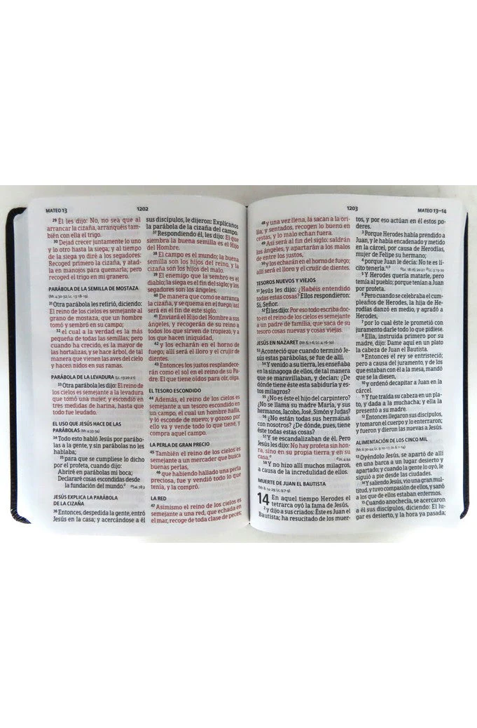 Biblia RVR 1960 Letra Gigante Piel Negro