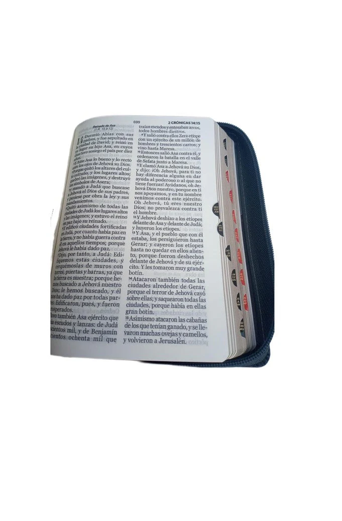 Biblia RVR 1960 Letra Grande Tamaño Manual Leon Gris Símil Piel