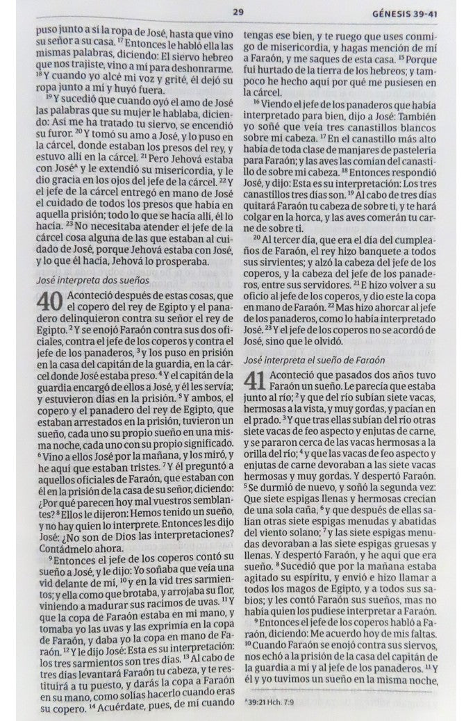 Biblia RVR 1960 Ultrafina Piel Negra