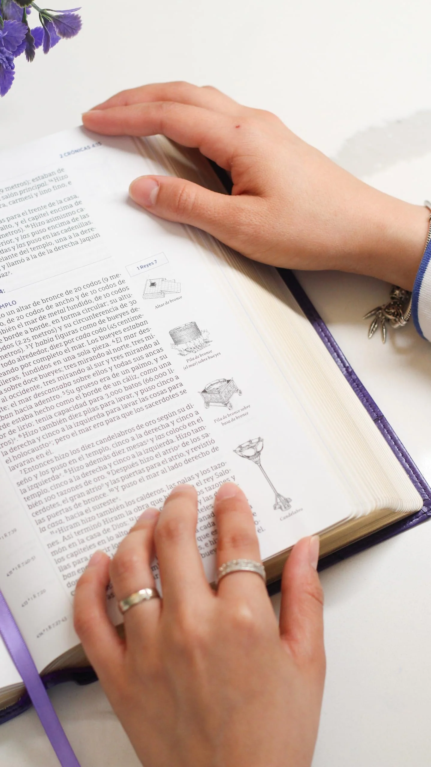 Biblia NBLA para el Estudio Inductivo Piel  Interior a dos Colores Morado Comfort Print