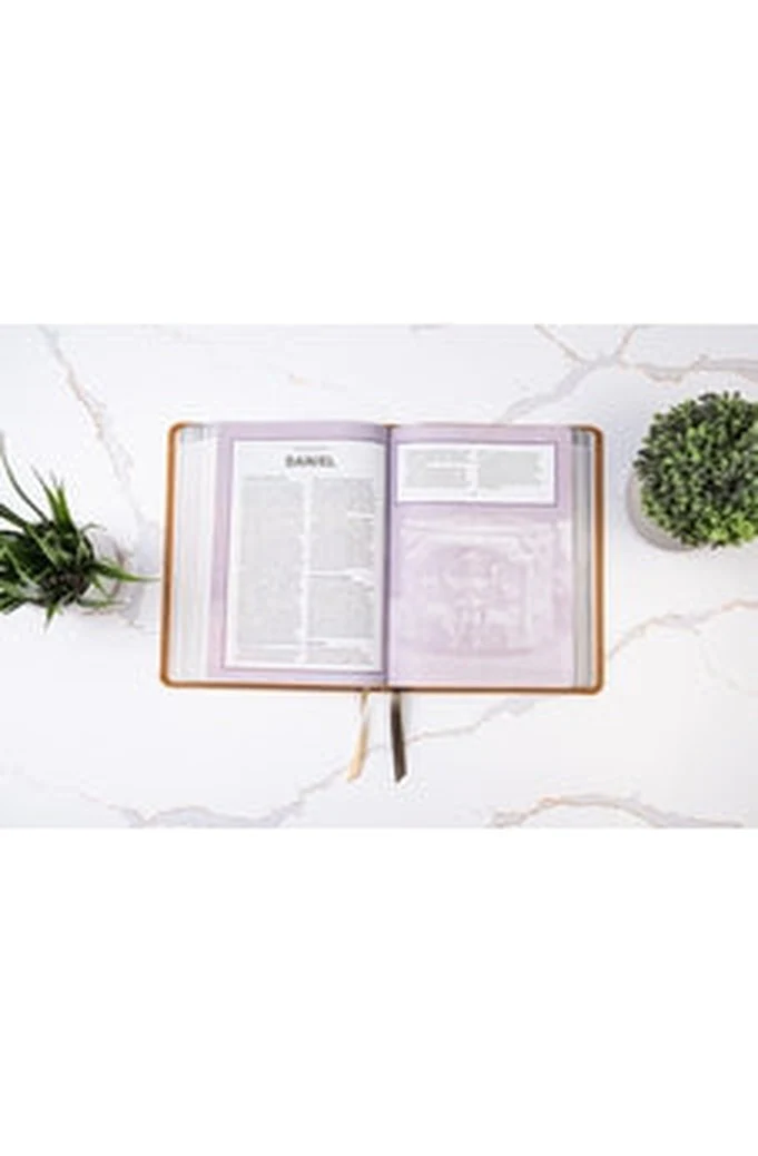 Biblia RVR 1960 Ilustrada Tierra Santa Café Símil Piel