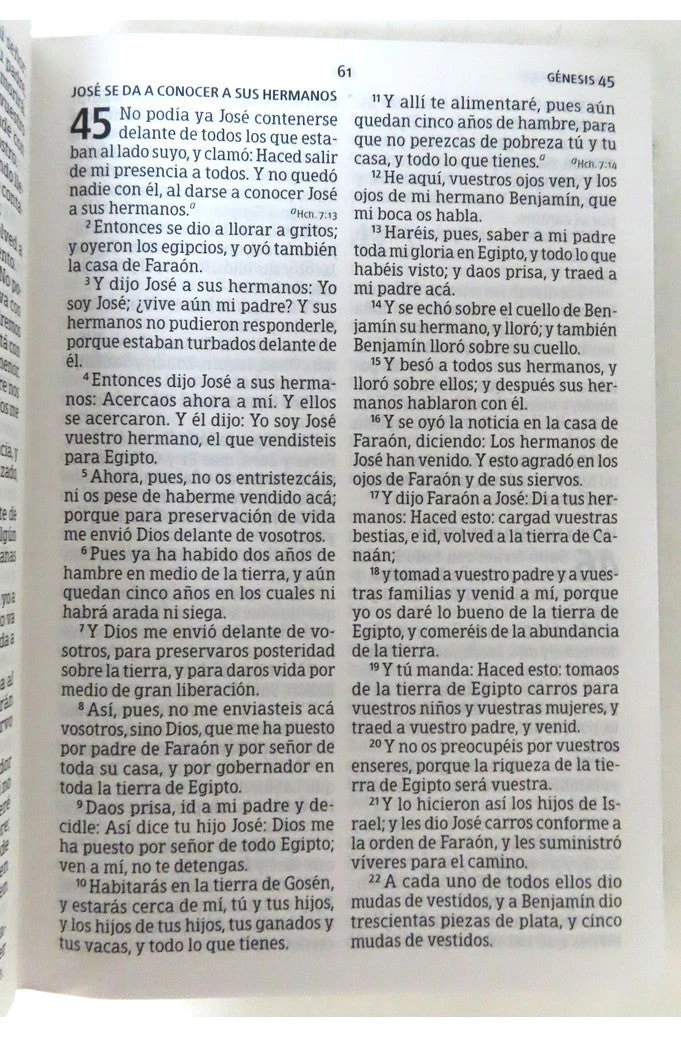 Biblia RVR 1960 Letra Grande Tamaño Manual Piel Fabricada Negro