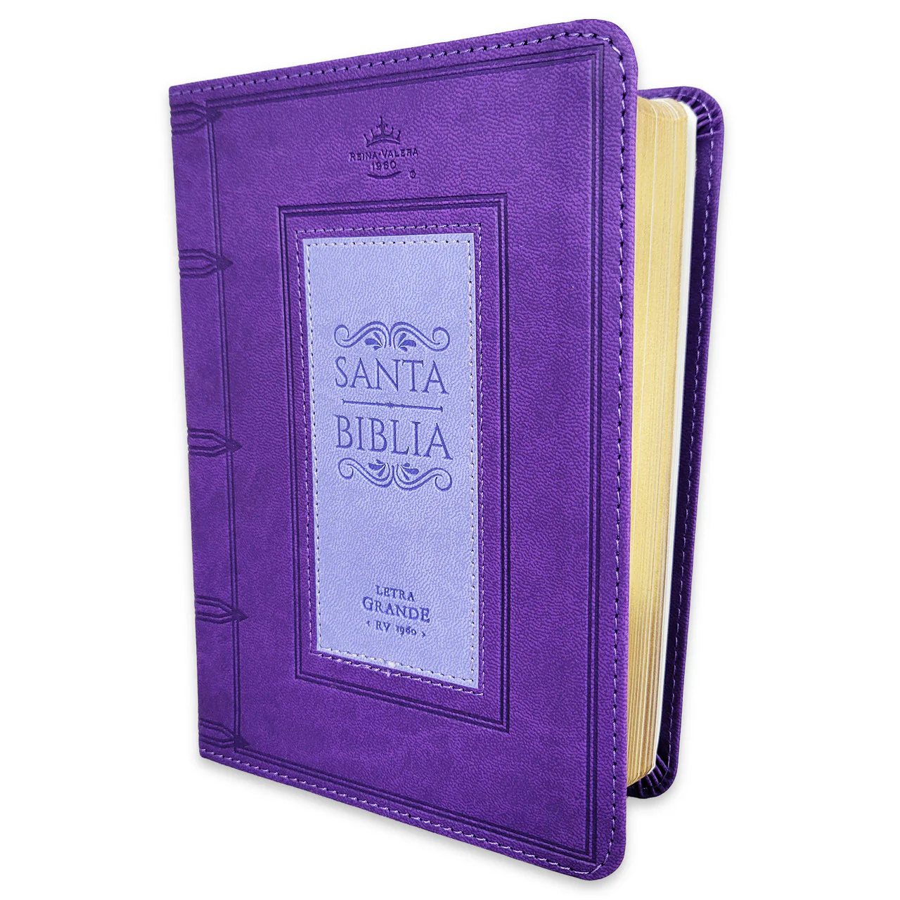 Biblia RVR 1960 Compacta Verde Café Símil Piel