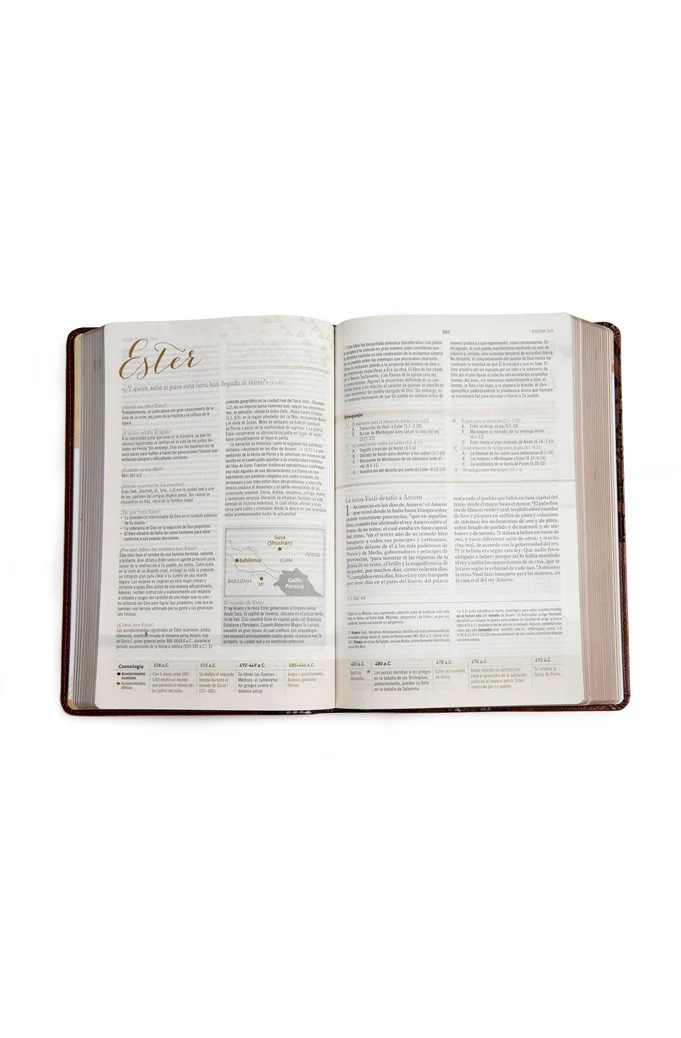 Biblia RVR 1960 de Estudio para Mujeres Café Símil Piel