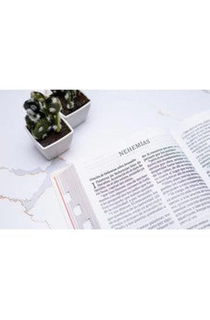 Biblia RVR 1960 Súper Gigante Negro Piel