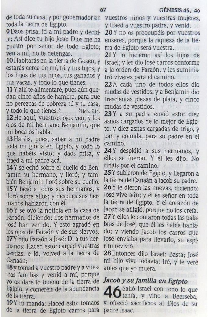 Biblia RVR 1960 Letra Grande Tamaño Manual Maxiconcordancia Negro Piel