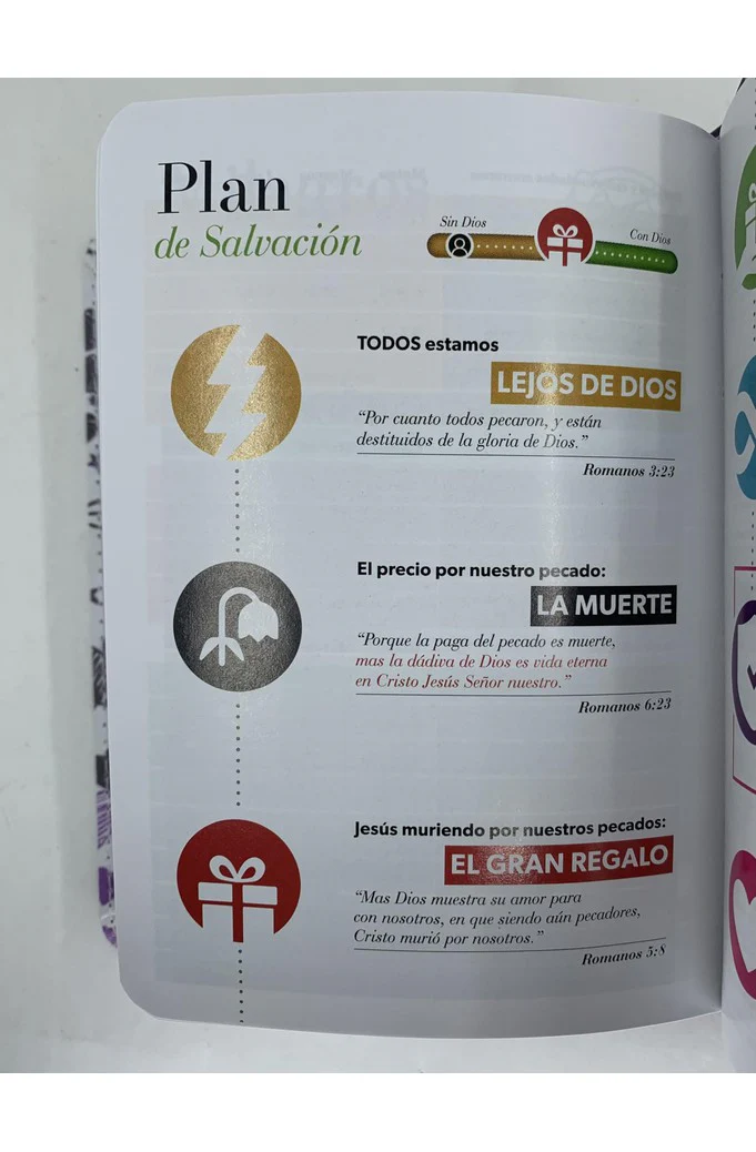 Biblia RVR 1960 Bolsillo Símil Piel Lila con Índice