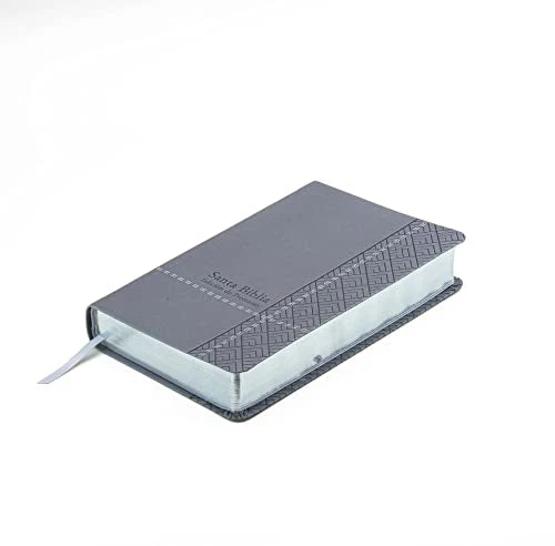 Biblia RVR 1960 Letra Grande Tamaño Manual Gris Símil Piel