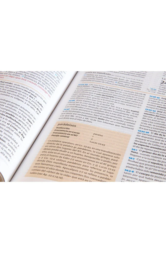 Biblia RVR 1960 de Estudio Holman Chocolate Terracota Símil Piel