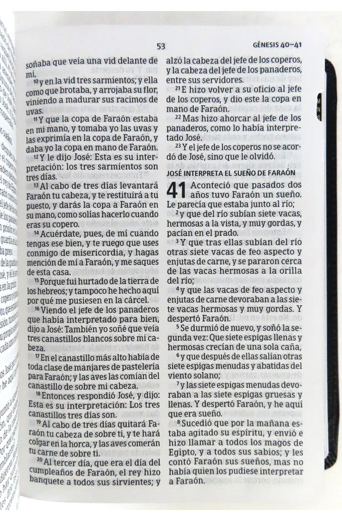 Biblia RVR 1960 Letra Grande Tamaño Manual Piel Fabricada Negra con Índice