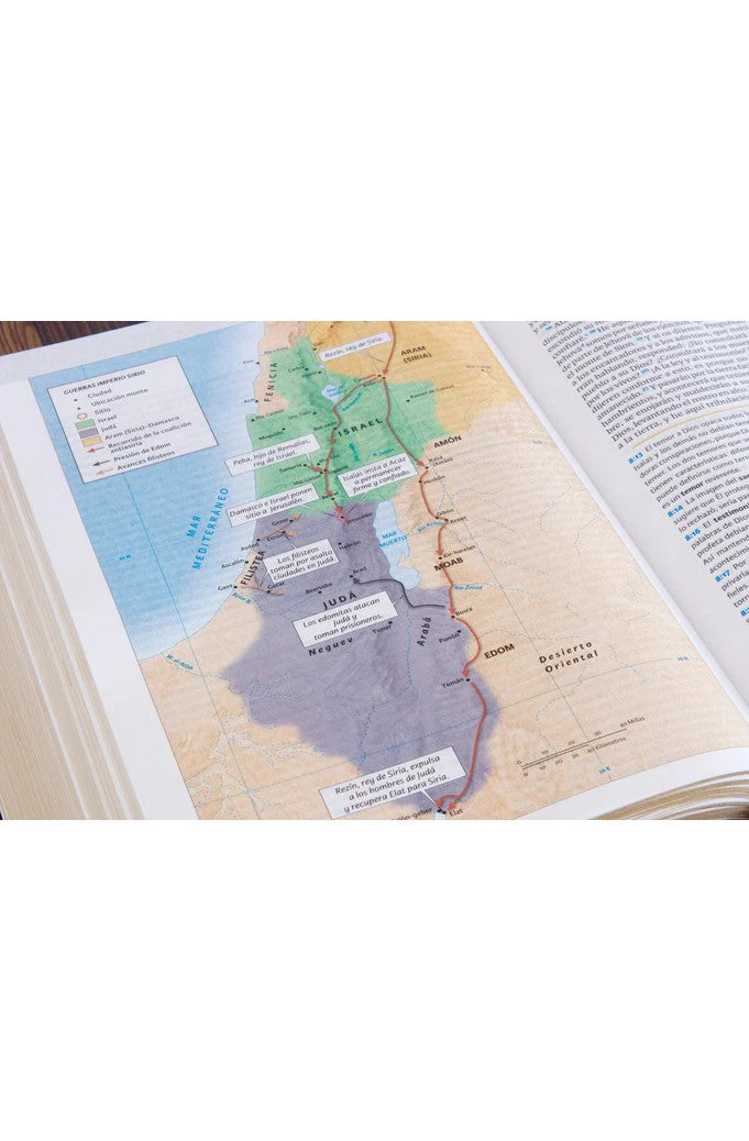 Biblia RVR 1960 de Estudio Holman Chocolate Terracota Símil Piel