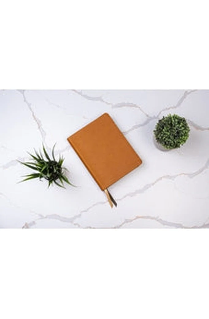 Biblia RVR 1960 Ilustrada de la Tierra Santa Marrón Símil Piel con Índice