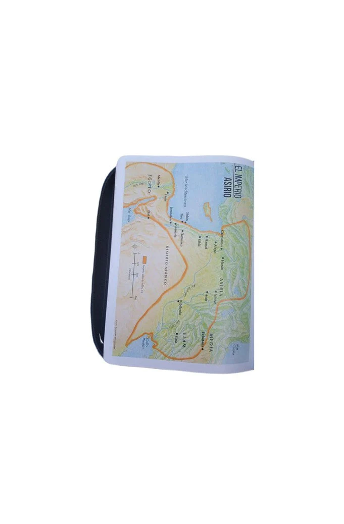 Biblia RVR 1960 Letra Grande Tamaño Manual Leon Gris Símil Piel