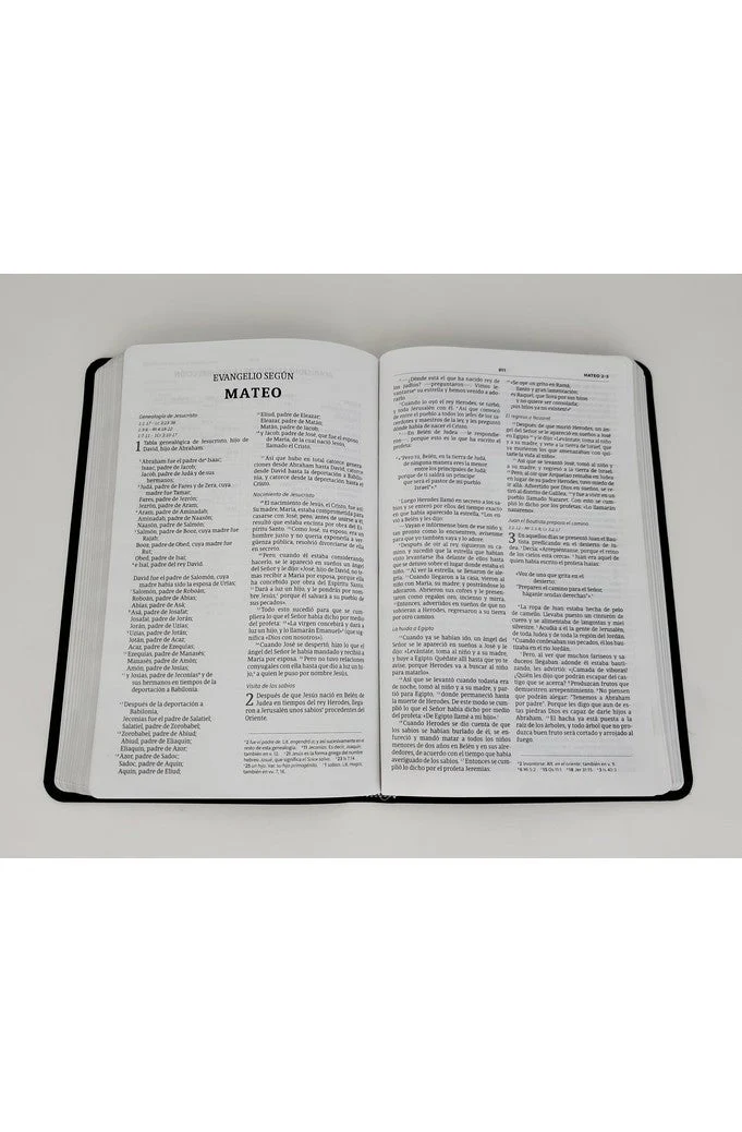 Biblia NVI Ultrafina Negro Piel Fabricada