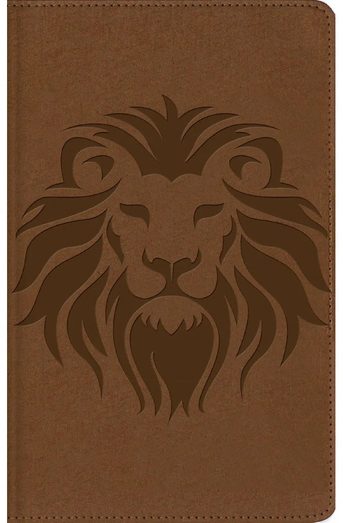 Biblia NBLA de Estudio para Niños Café Símil Piel