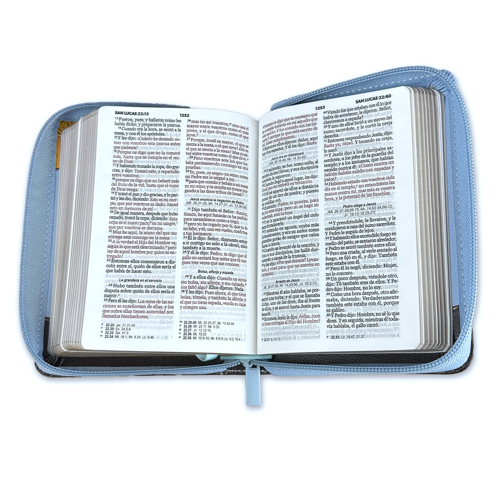 Biblia de Bolsillo con Cierre RV1960 imit cafe azul abejas